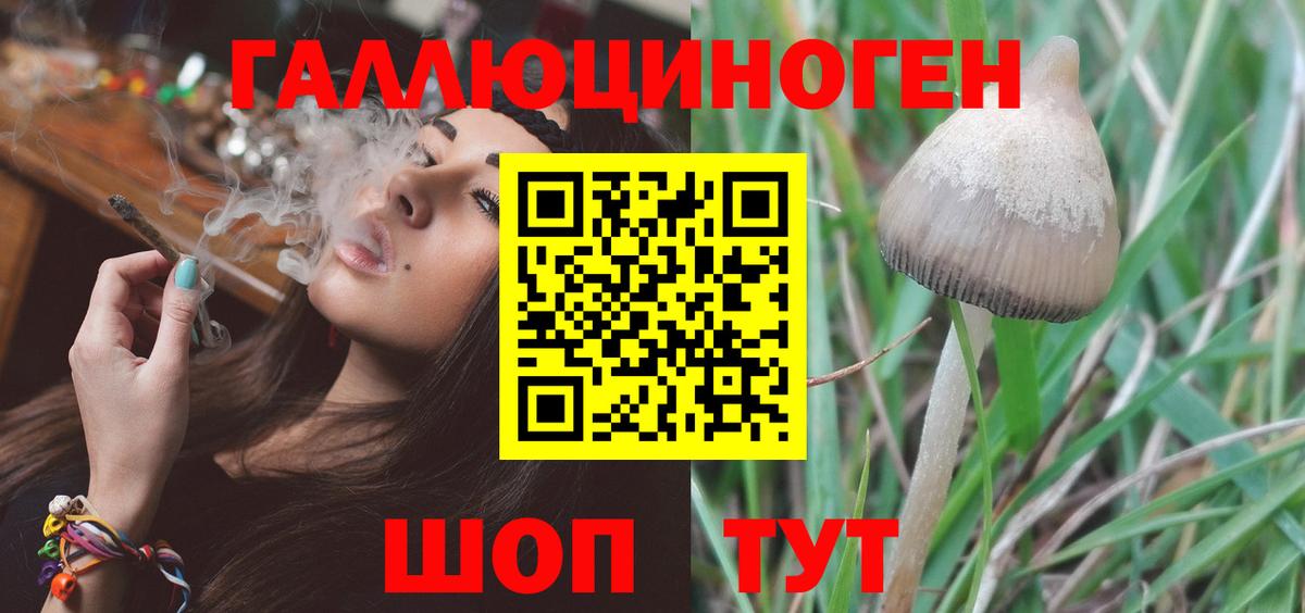 Галлюциногенные грибы Magic Shrooms Амурск