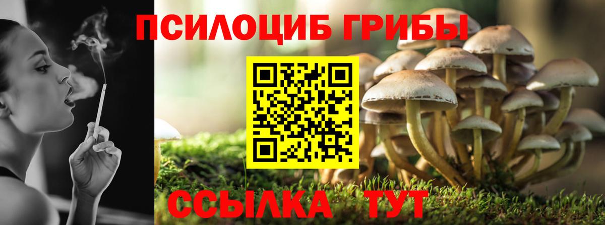 купить  сайты  Вход с VPN  Амурск  Псилоцибиновые грибы Psilocybine cubensis  Псилоцибиновые грибы мицелий 