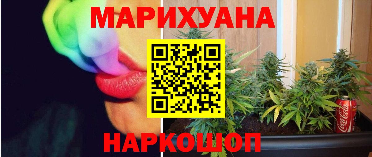 Каннабис планчик Амурск